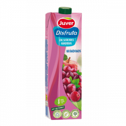 Juver Disfruta Cranberries Nectar Juice 1L